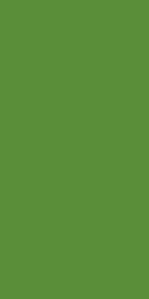 21143 Sf 1.0 Mm Merino Laminates Parrot Green (Suede)