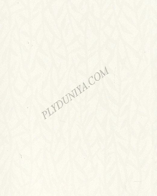 91105 Ec 1.0 Mm Cedarlam Laminates Half White (Engraved Creepers)