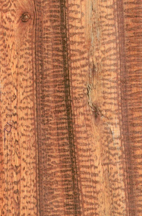 92213 Sf 1.0 Mm Cedarlam Laminates Snake Wood (Suede) | 1230