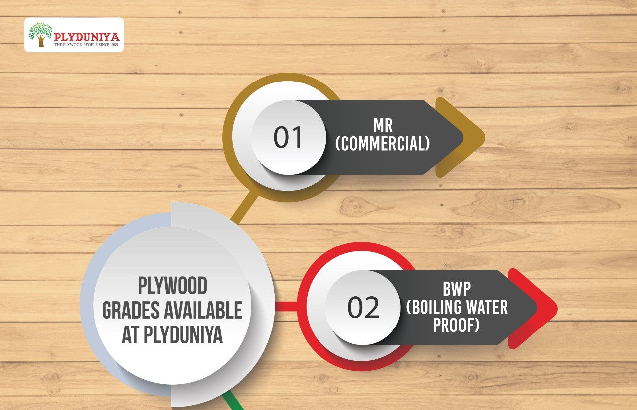 5 Essential Tips for Choosing the Perfect Plywood for Your Home – Plyduniya