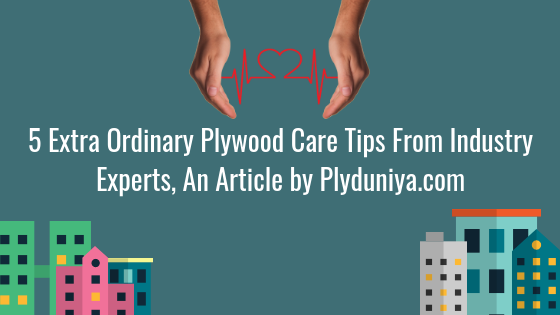 5 Extra Ordinary Plywood Care Tips From Industry Experts, An Article by Plyduniya.com