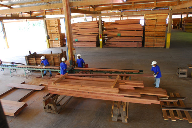 Plywood Industry to See an Steep Increase in Prices  Here is why