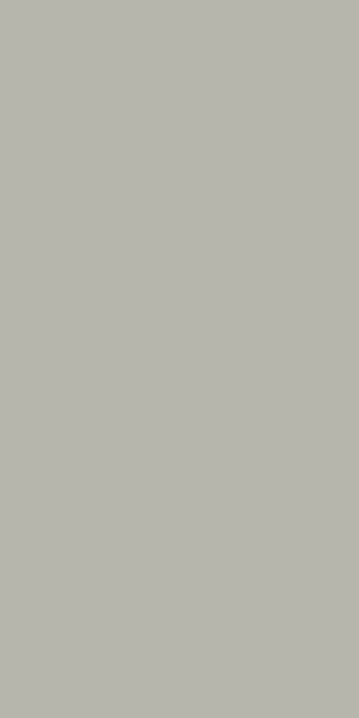 21009 Sf 1.0 Mm Merino Laminates Grey Stone (Suede)