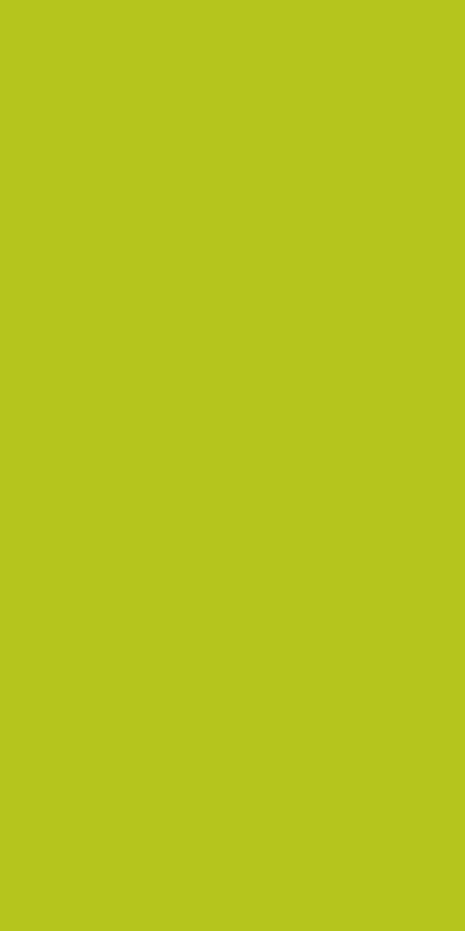 21163 Sf 1.0 Mm Merino Laminates Lime (Suede)