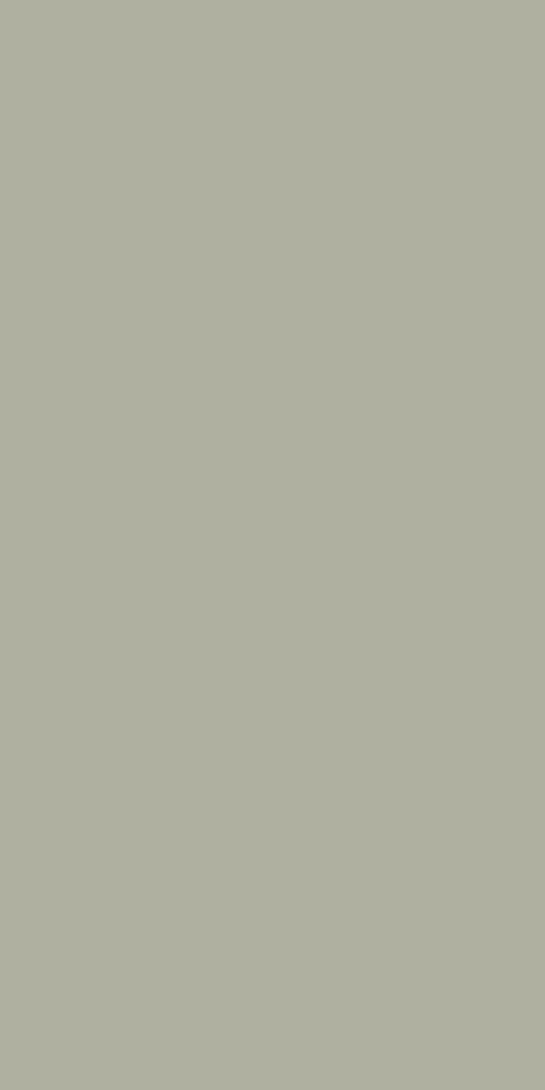 21321 Sf 1.0 Mm Merino Laminates Pumic Grey (Suede)