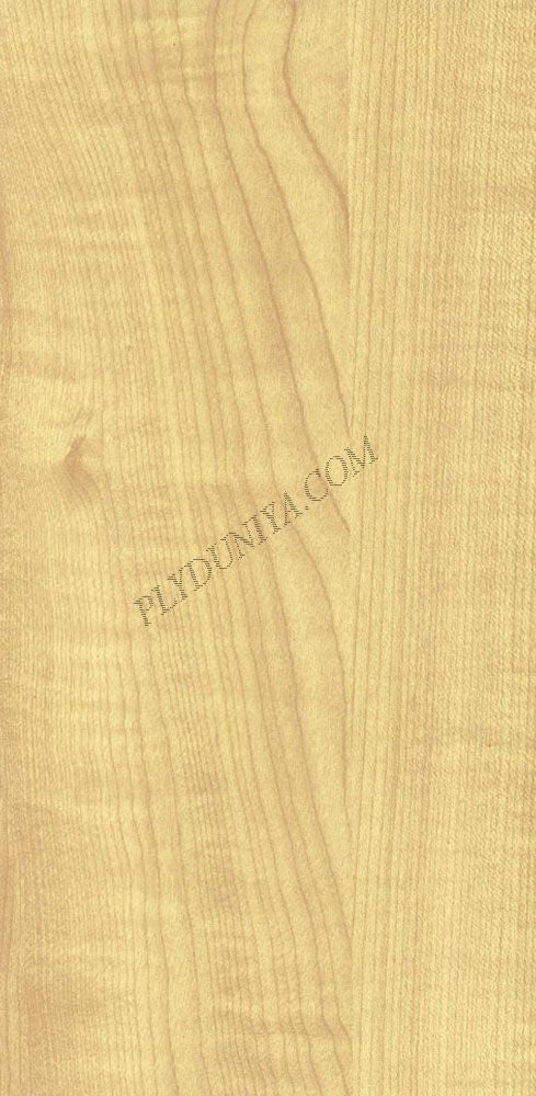 5006 Sf 1.0 Mm Greenlam Laminates Thansau Maple (Suede Finish )