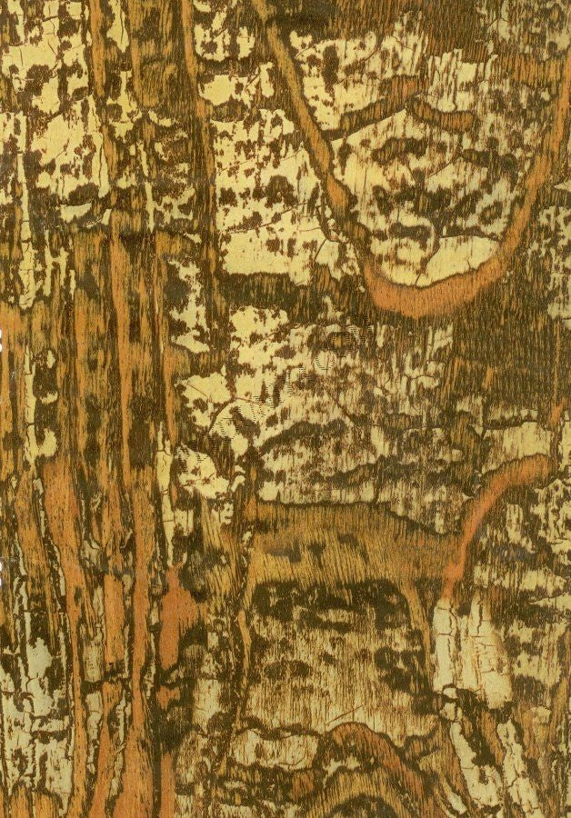 92212 Sf 1.0 Mm Cedarlam Laminates Burm Teak (Suede)
