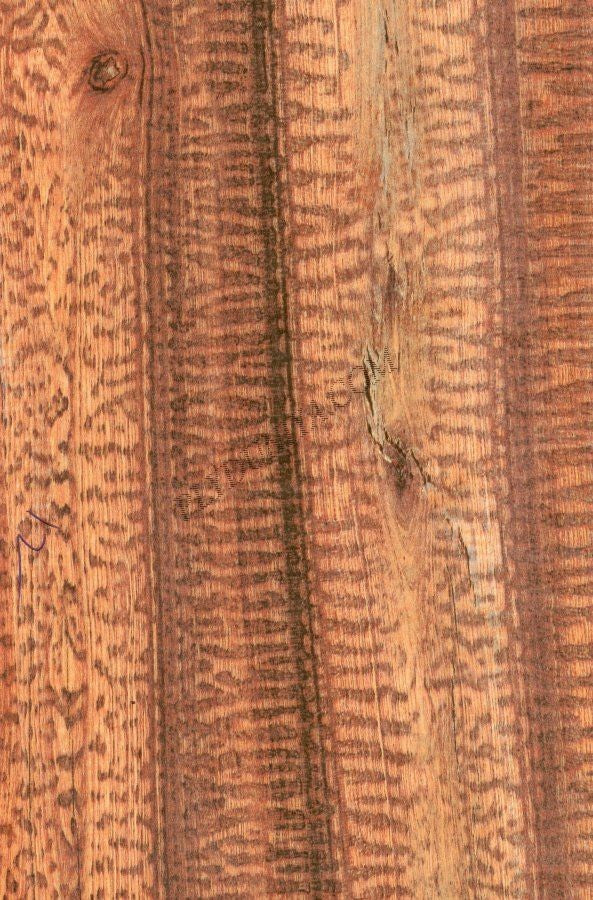 92213 Sf 1.0 Mm Cedarlam Laminates Snake Wood (Suede)