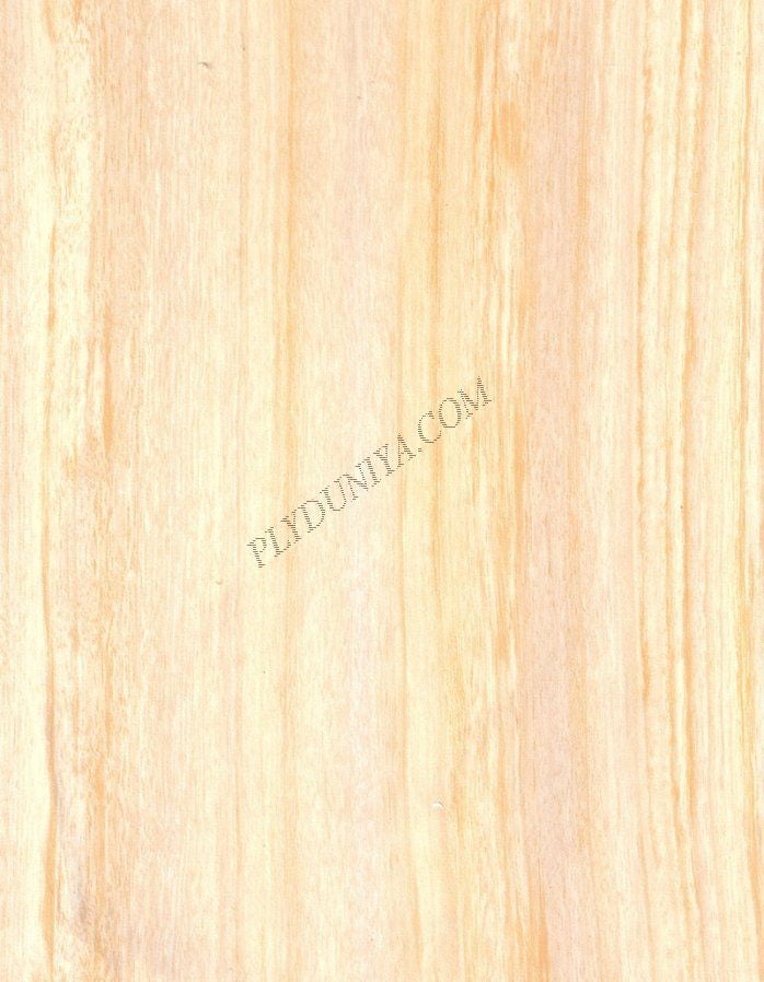 92598 Pu 1.0 Mm Cedarlam Laminates Zorrah Holz (Glossy)